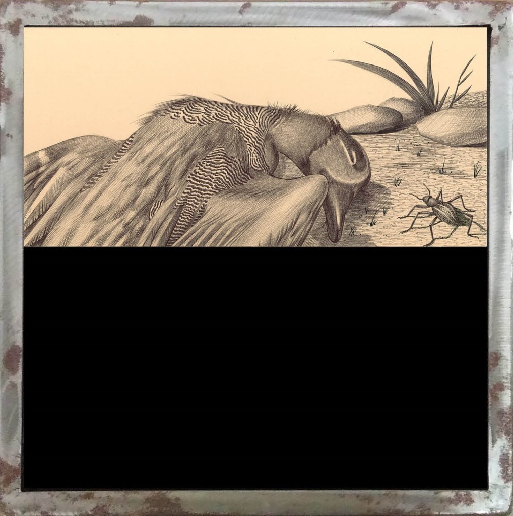 MORTE Anatra vivaAnatra morta - Penna biro su carta applicata su legno con vetrocamera e acqua colorata, 40x40 cm, 2014